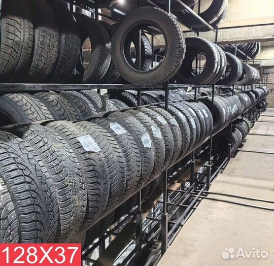 Tigar Winter 1 205/60 R16 92L
