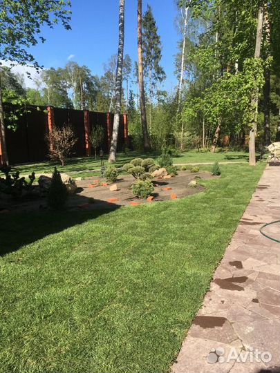 Укладка газона