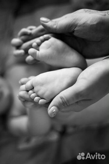 Фотограф Дмитров