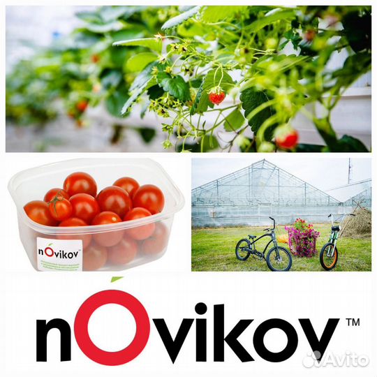 Упаковщики фасовщики, овощеводы