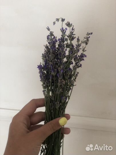 Букет лаванды