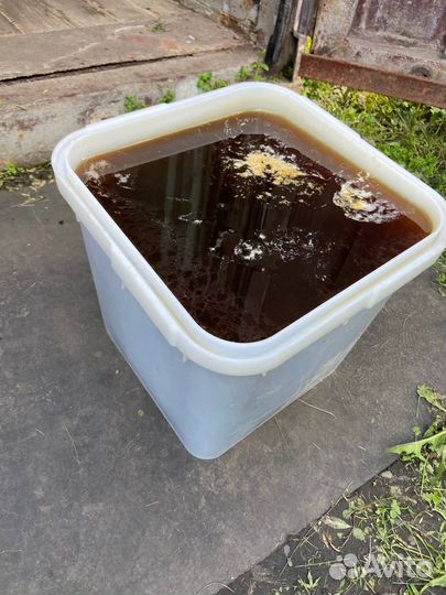 Мед степное разнотравье 2024 с Алтая