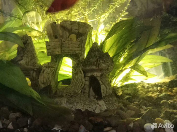 Аквариум Большой со столом и фильтром