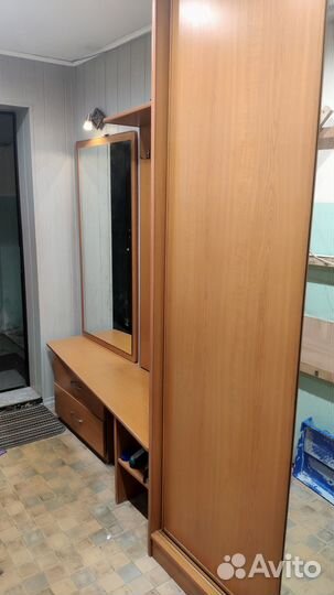 Мебель в прихожую (Прихожая) 360х50х238 (шхгхв)