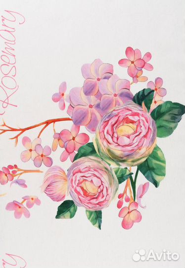 Ткань лонета 65 хлопок купон Шарм розмари ширина