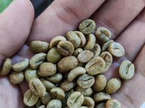 Кофе оптом с плантаций из Вьетнама