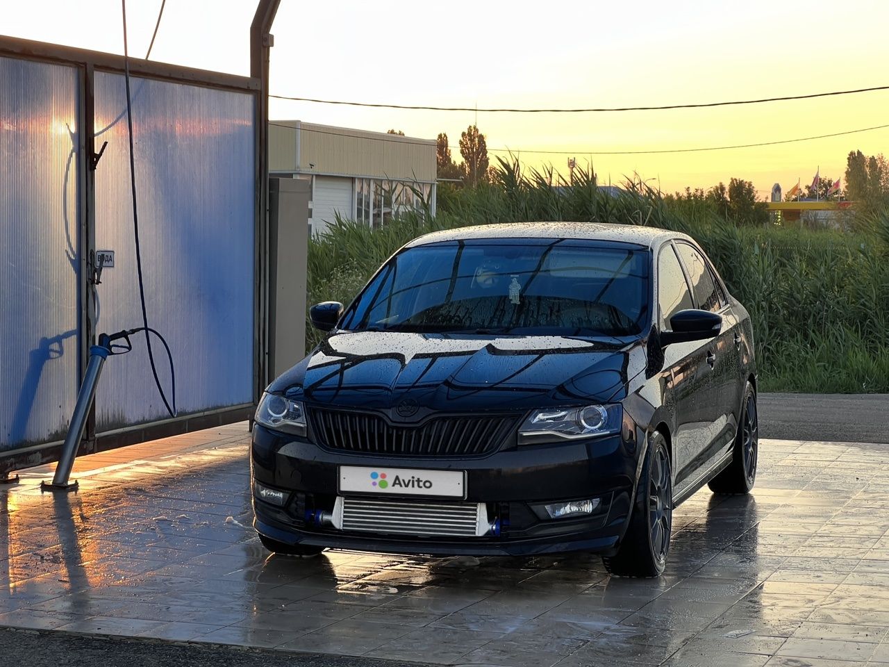 Skoda Rapid: фото владельца