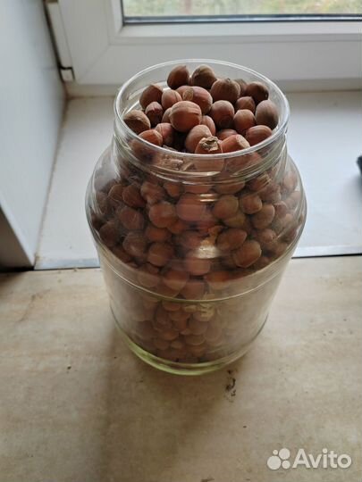 Продам фундук