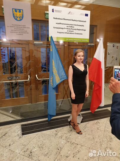 Переводчик польского языка (+звонки в Польшу)