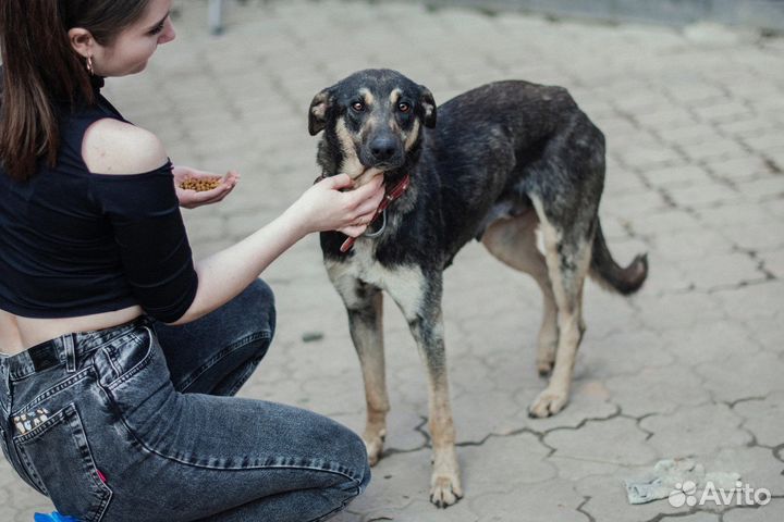Завтра ждет улица