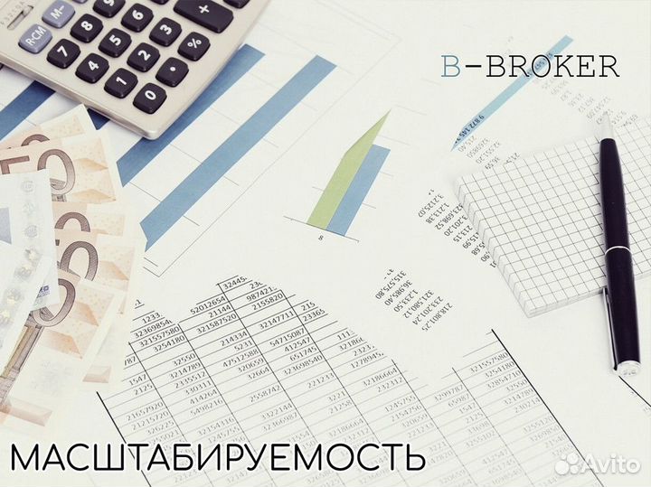 Профессиональный старт с B-Broker