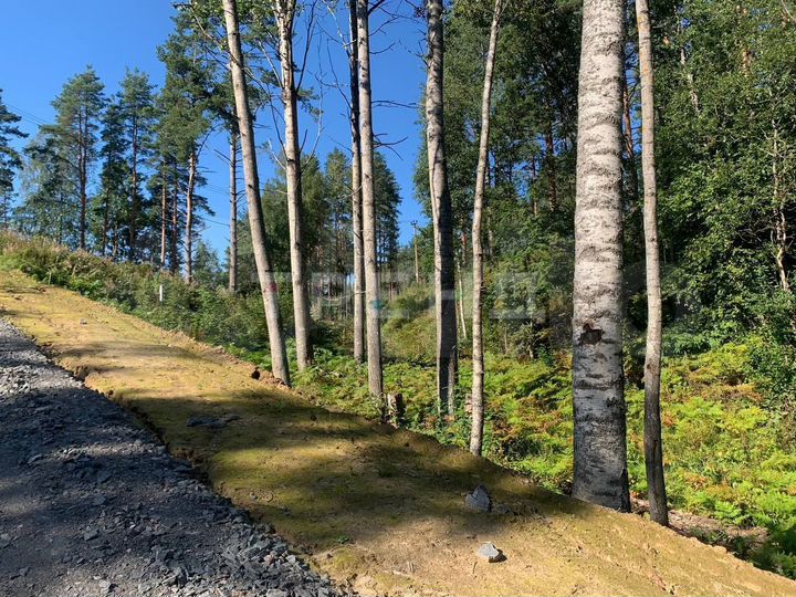 Участок 8,6 сот. (СНТ, ДНП)