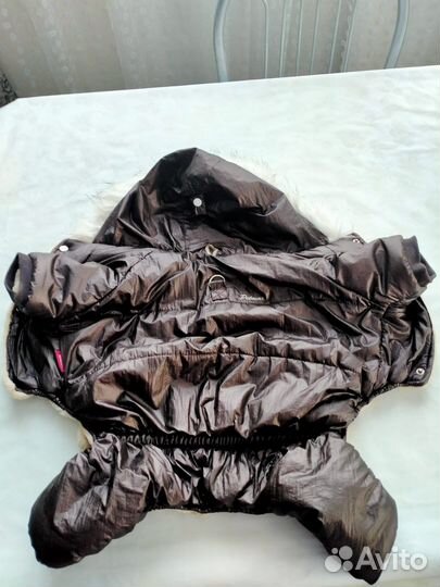 Одежда для собак средних пород