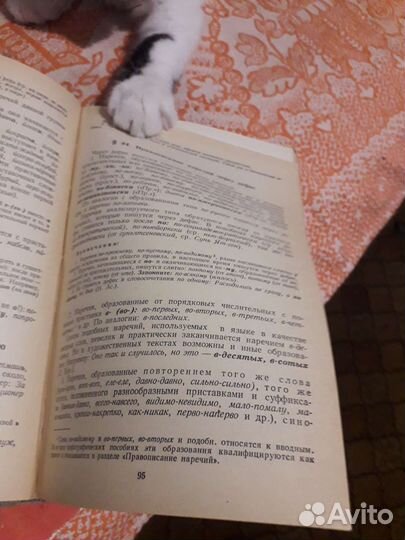 Современная русская орфография