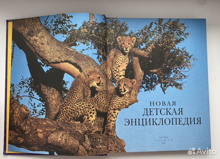 Новач детская энциклопедия