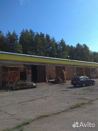 Пилорама ленточная для слэбов в Шебекино