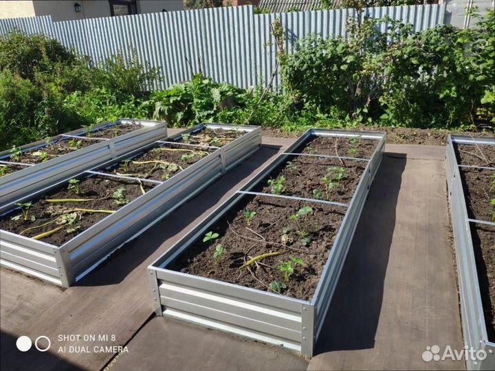 Конвейерная лента бу