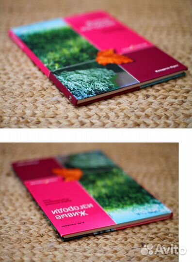 Сапелин. Живые изгороди