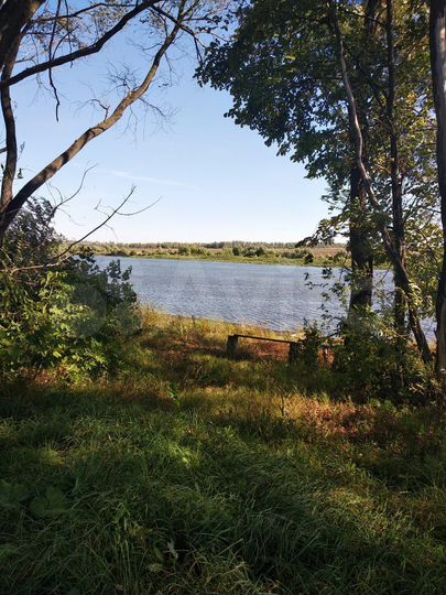 Участок 44,5 сот. (ИЖС)