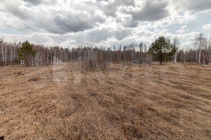 Участок 10,9 сот. (СНТ, ДНП)