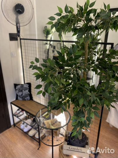 Место мастеру маникюра