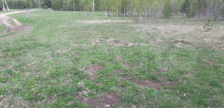 Участок 32 сот. (ИЖС)