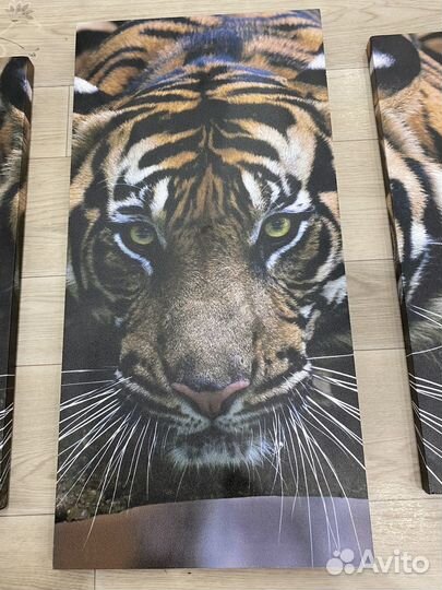 Модульная картина тигр