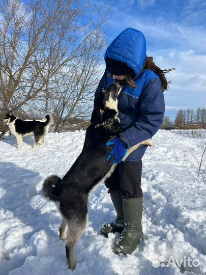 Ласкуша для семьи