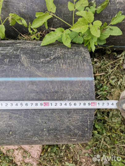 Труба Пнд 310