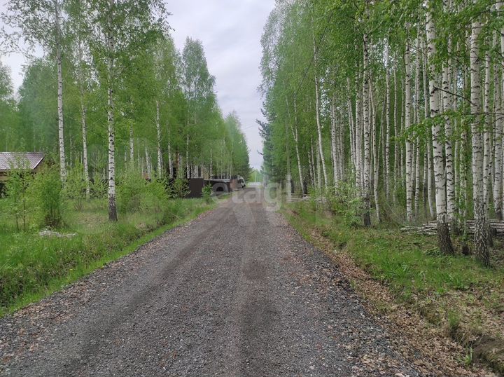 Участок 18,6 сот. (СНТ, ДНП)