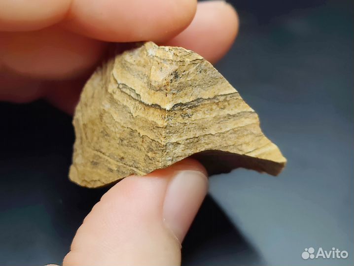 Яшма рисунчатая. Намибия