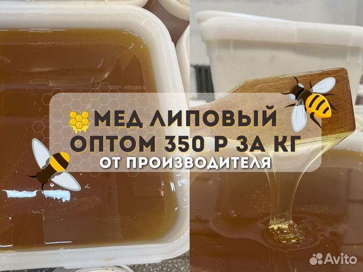 Липовый мёд. Качка 2023 г. Оптом