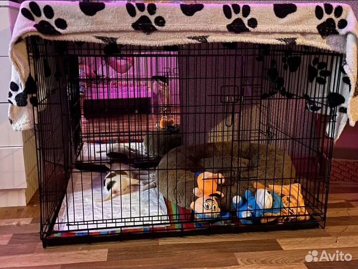 Клетка для собак №5 новая, надёжная