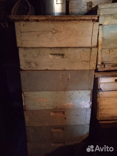 Пчелиные улья