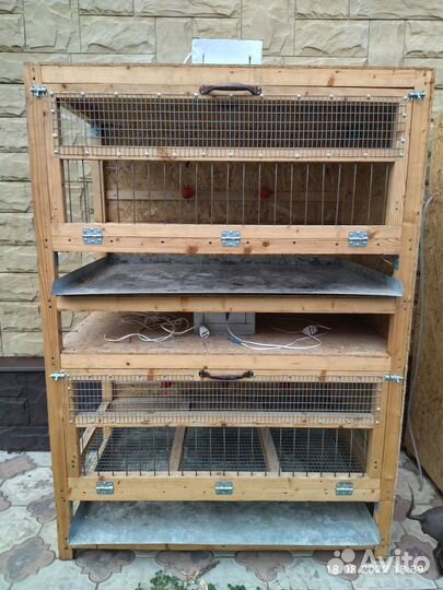 Продажа брудеров для бройлеров, домашней птицы