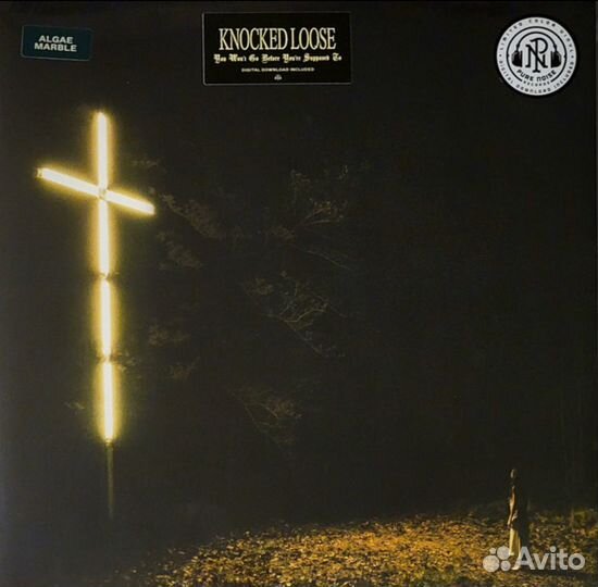 Knocked Loose-You Won't Go Before You're Supposed