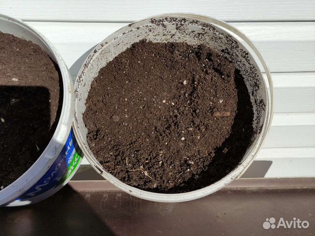 Биогумус от червей Дендробена