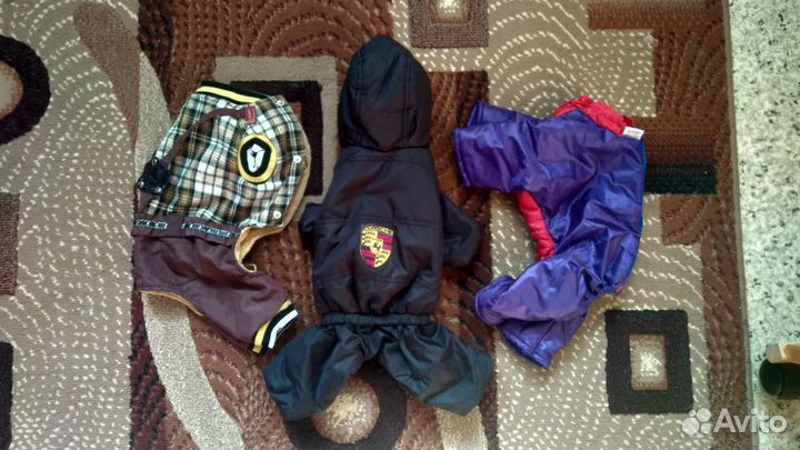 Одежда для маленьких собак