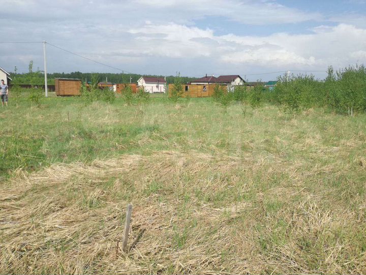Участок 16 сот. (СНТ, ДНП)
