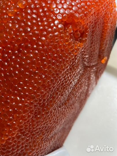 Красная икра оптом