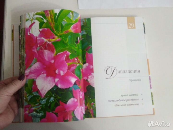 Книга Цветы