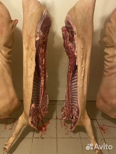 Мясо свинина