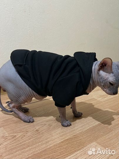 Одежда для собак и кошек