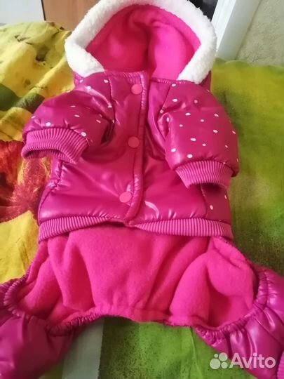 Одежда для собак мелких пород