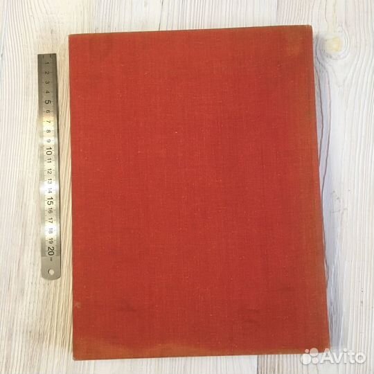 Дмитрий Нагишин 