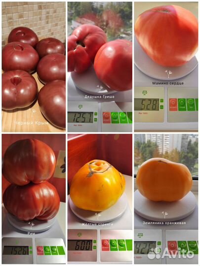 Семена сортовые томаты (2 набора)