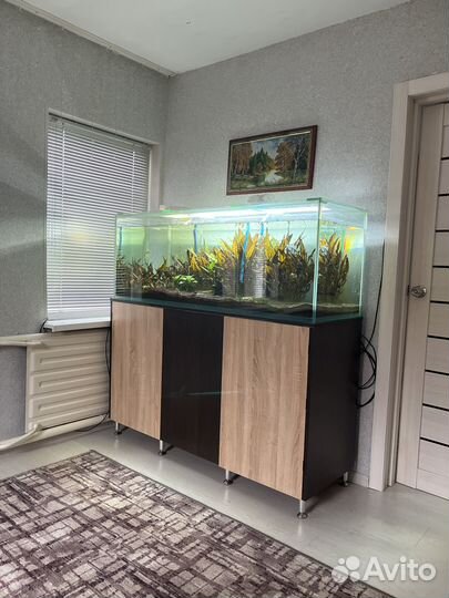 Аквариум