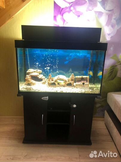 Аквариум с тумбой 230 литров