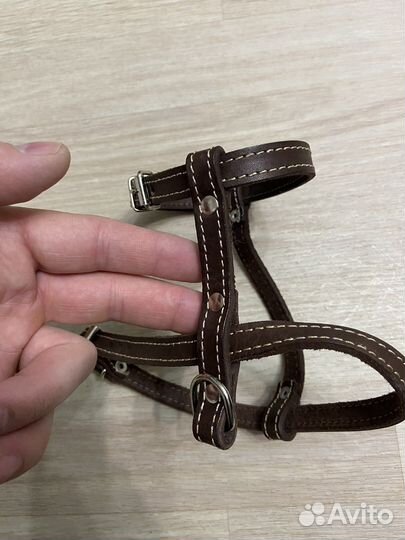 Шлейка для собаки