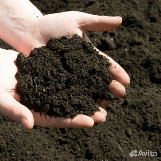 Торфогрунт